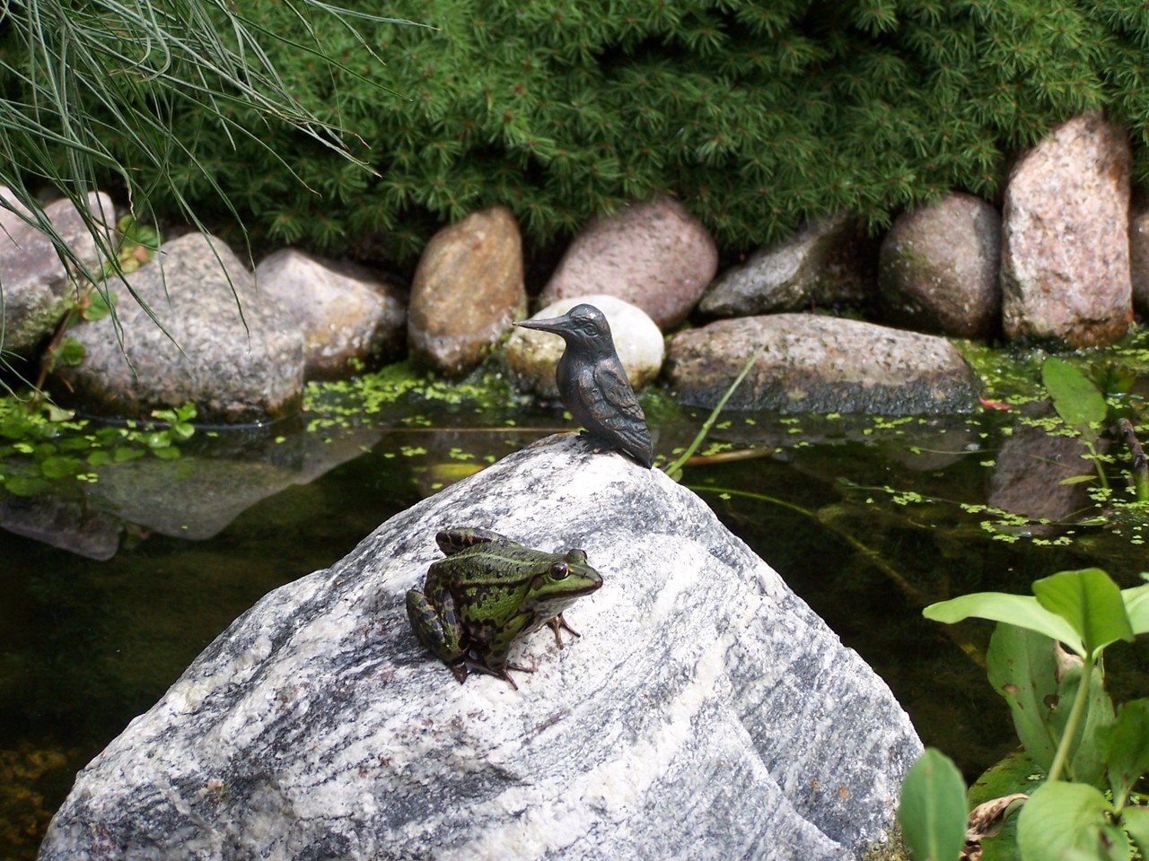 Fische, Pflanzen & mehr Felsen, Wasserläufe & Figuren