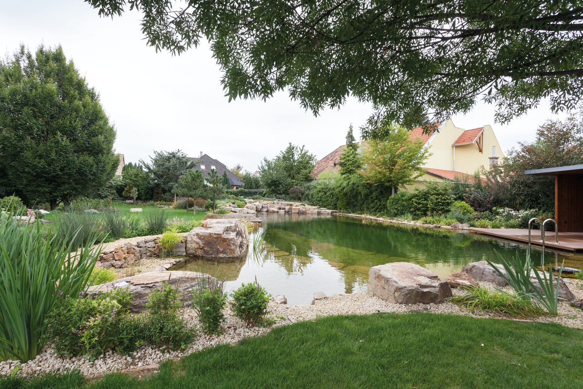 50+ Teich Arndt Blankenburg, Natürlich auch mit fachgerechter