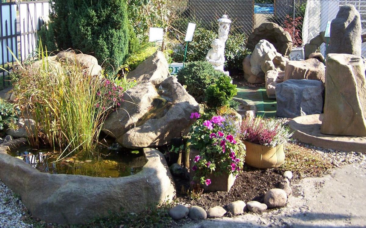 Fische, Pflanzen & mehr Alles für den Gartenteich